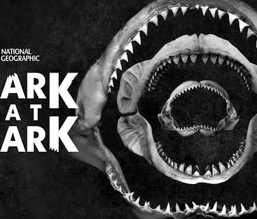 Shark Eat Shark (2023)