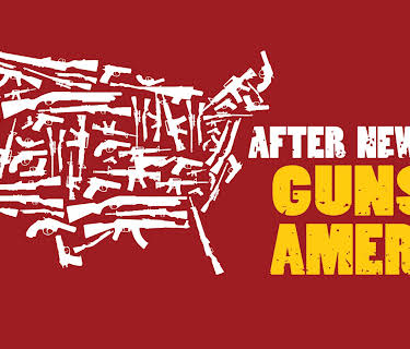 After Newtown: Guns in America (2013)