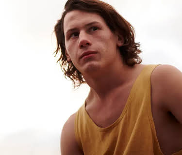 Snowtown (2012)