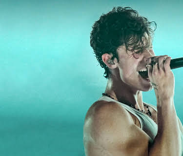 Shawn Mendes: Live in Concert (2020)