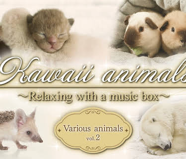 Kawaii animals～Relaxing with a music box～Various animals vol.2 (2025)