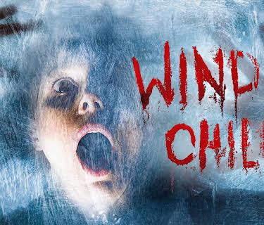 Wind Chill (2007)