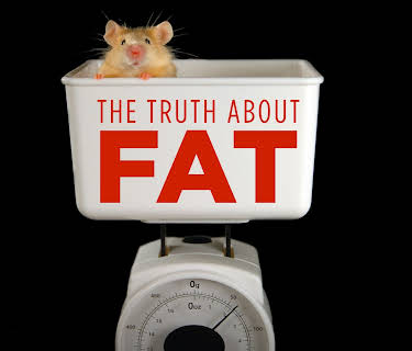 The Truth About Fat (2020)
