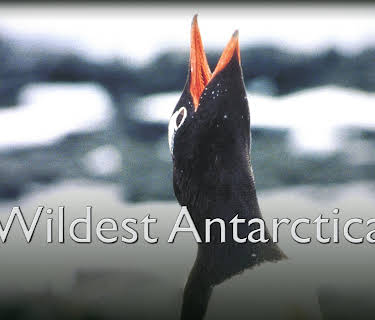 Wildest Antarctica (2015)