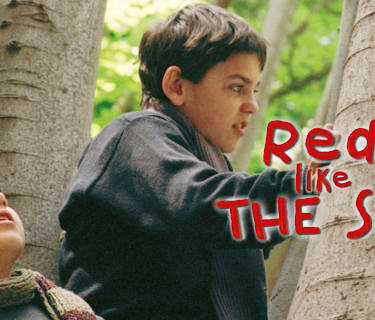 Red like the Sky (2008)