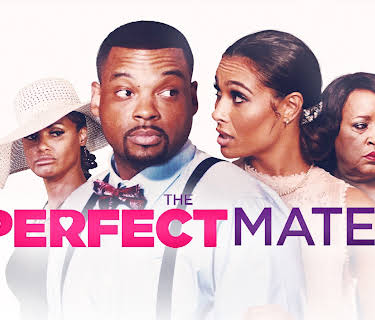 The Perfect Mate (2020)
