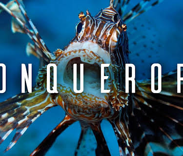 Conquerors