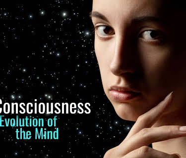Consciousness: Evolution of the Mind (2022)