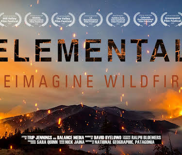 Elemental: Reimagine Wildfire (2023)