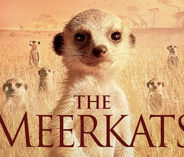 The Meerkats (2008)