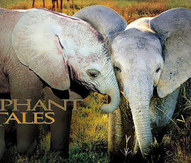 Elephant Tales (2006)