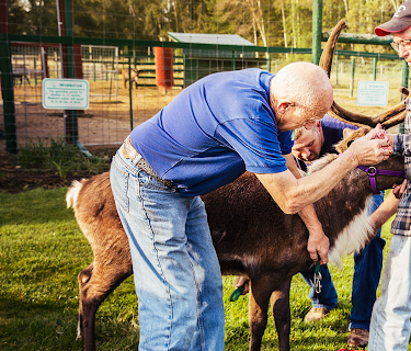 The Incredible Dr. Pol
