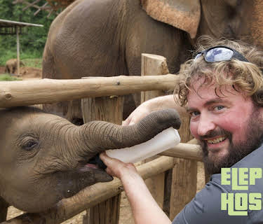 Elephant Hospital