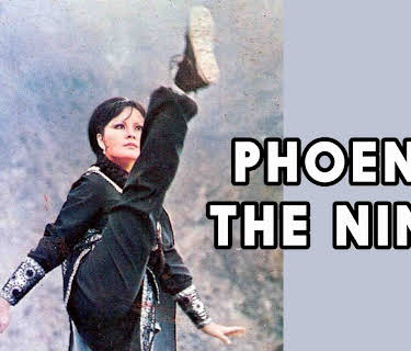 Phoenix The Ninja (1981)
