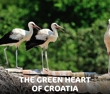 The Green Heart of Croatia (2014)