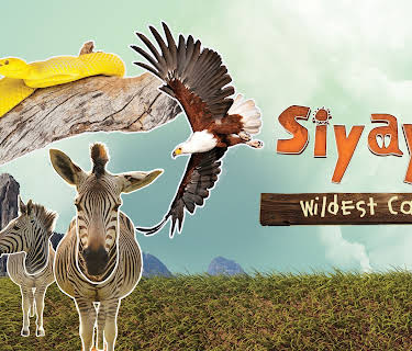 Siyaya - Wildest Cape