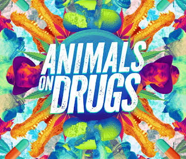 Animals on Drugs