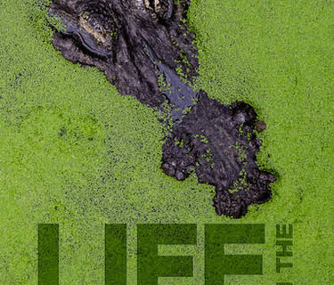 Life in the Reeds Where the Hunter Becomes the Hunted (2014)