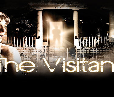 The Visitant (2014)