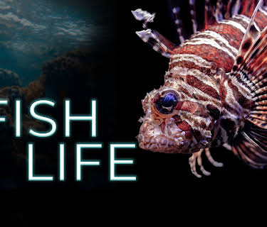 Fish Life