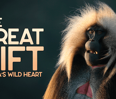 Great Rift: Africa's Wild Heart