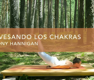 Atravesando los chakras (2016)