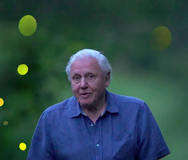 David Attenborough's Light On Earth (2016)