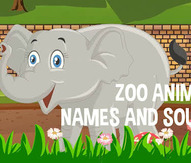 Zoo Animals Names and Sounds