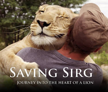 Saving Sirga - Journey Into the Heart of a Lion
