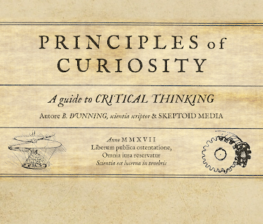 Principles of Curiosity (2017)