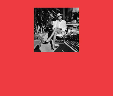 Helmut Newton: The Bad and the Beautiful (2020)