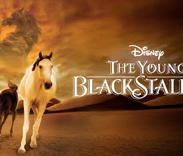 Young Black Stallion (2003)