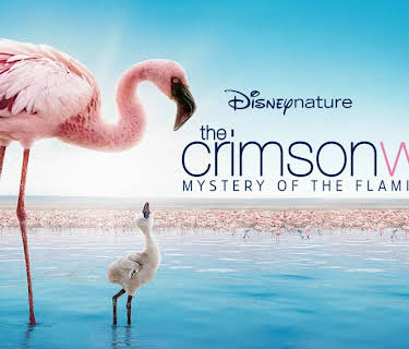 Crimson Wing (2008)