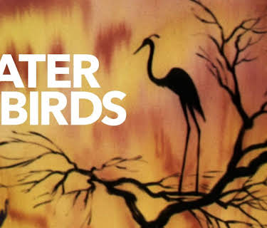Water Birds (1952)
