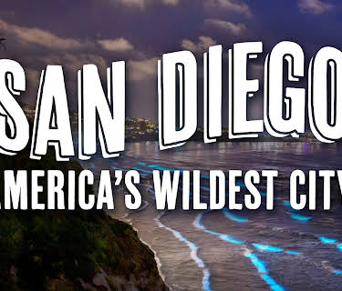 San Diego: America's Wildest City (2024)