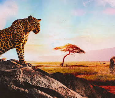 The Predators of Africa (2014)