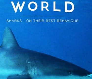 Natural World: Sharks - on Their Best Behaviour (1990)