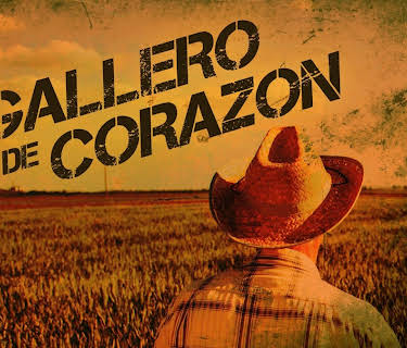 Gallero de corazón (2017)