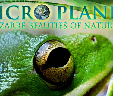 MicroPlanet (2012)