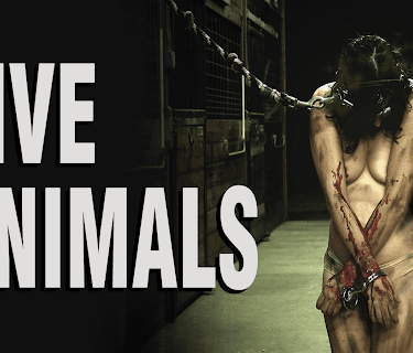 Live Animals (2024)