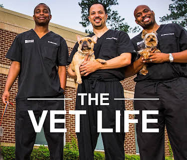 The Vet Life Season 1