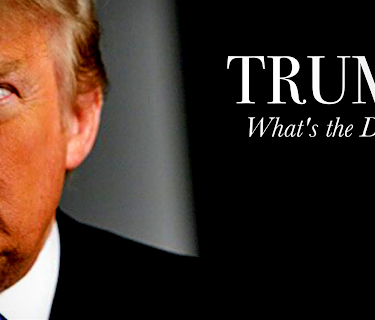 Trump: What's The Deal? (2017)