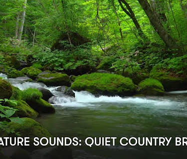 Zen Nature Sounds: Quiet Country Brook (2023)