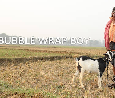 The Bubble Wrap Boy (2017)