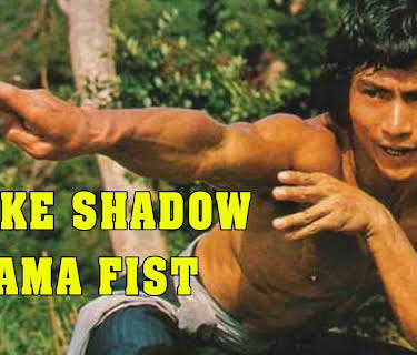 Snake Shadow Lama Fist (1979)