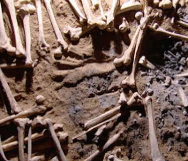 Tales of the Living Dead