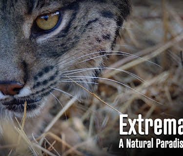 Extremadura: A Natural Paradise in Europe (2022)