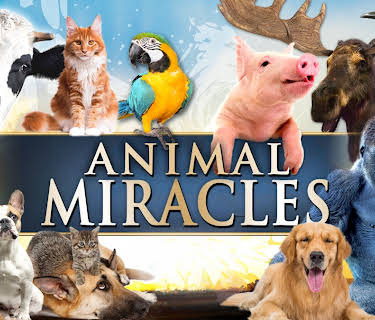 Animal Miracles