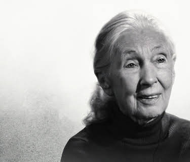 Famous Last Words: Dr. Jane Goodall (2025)