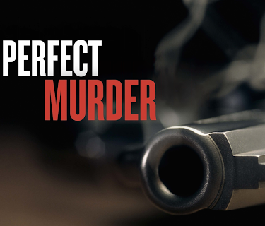 The Perfect Murder